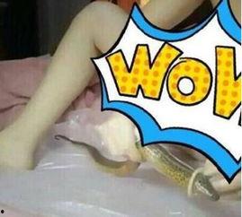 女主播黄鳝时间视频,揭秘网络直播的道德困境