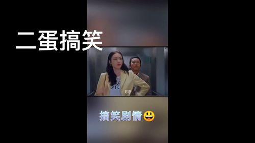 搞笑的蛋视频下载,笑料横生，欢乐无限！