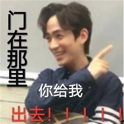 爱豆表情包无水印