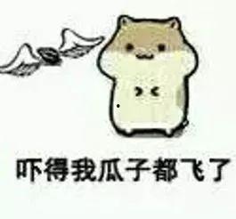 吓的哆嗦表情包,恐惧瞬间，笑点满满