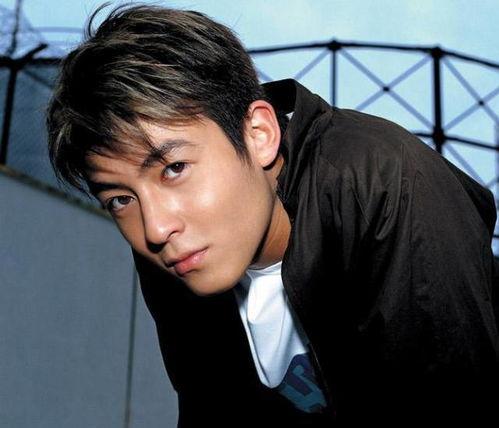 林峰准备退出娱乐圈