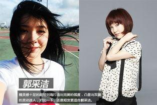 明星演绎圈,明星演绎圈的璀璨瞬间